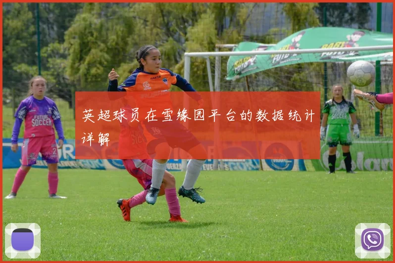 英超球员在雪缘园平台的数据统计详解
