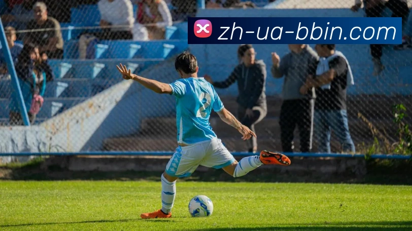 辅助工具 辅助工具